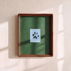 Paw Print Kit