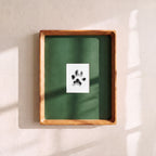 Paw Print Kit