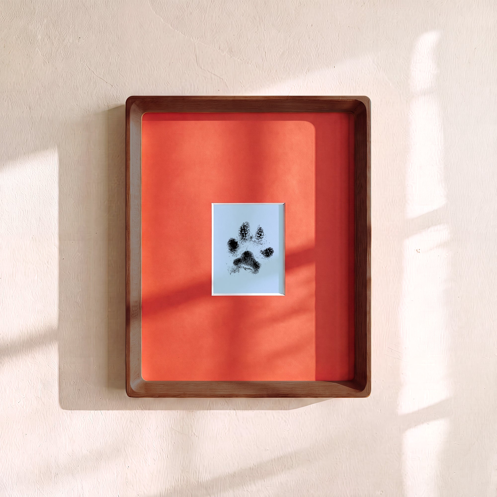 Paw Print Kit