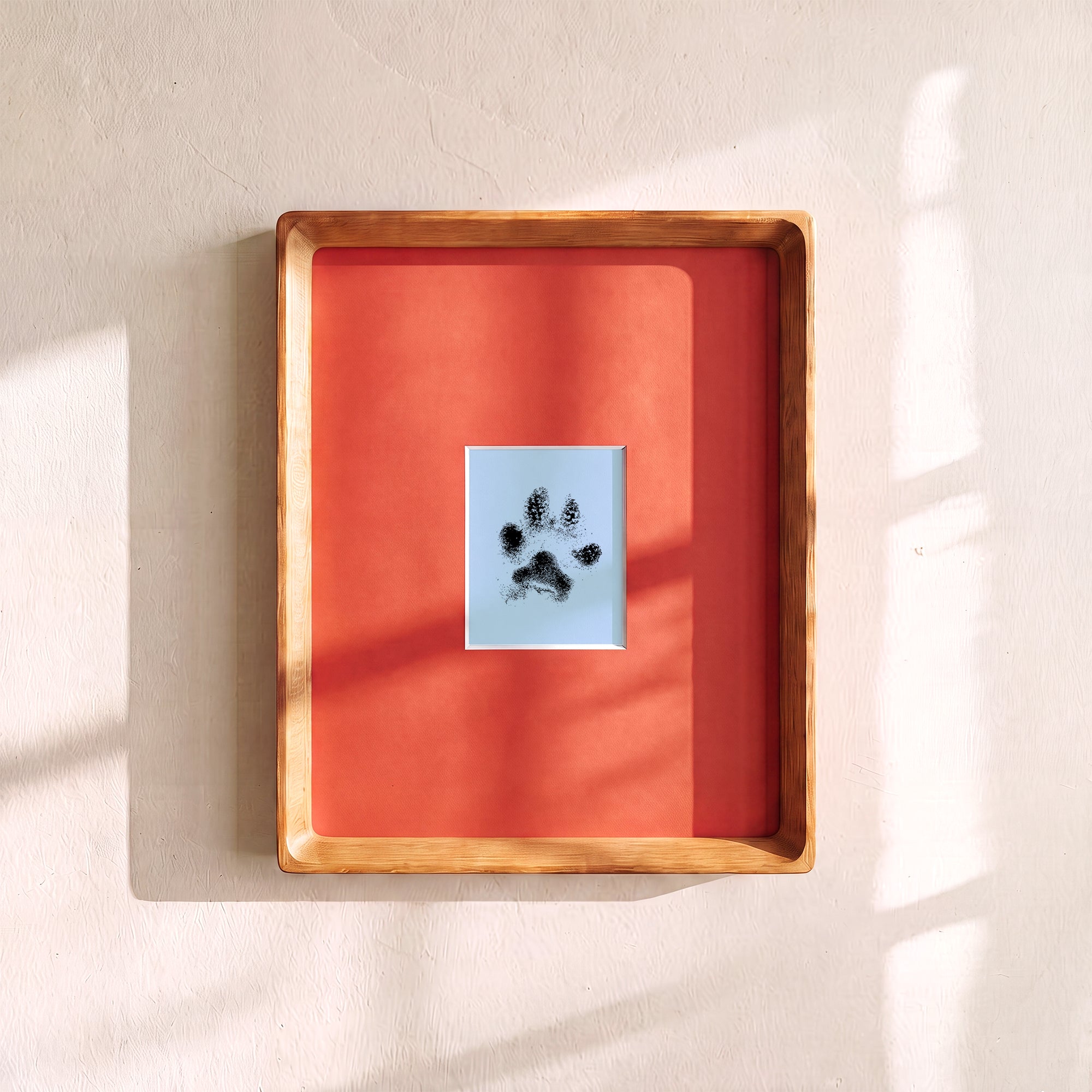 Paw Print Kit