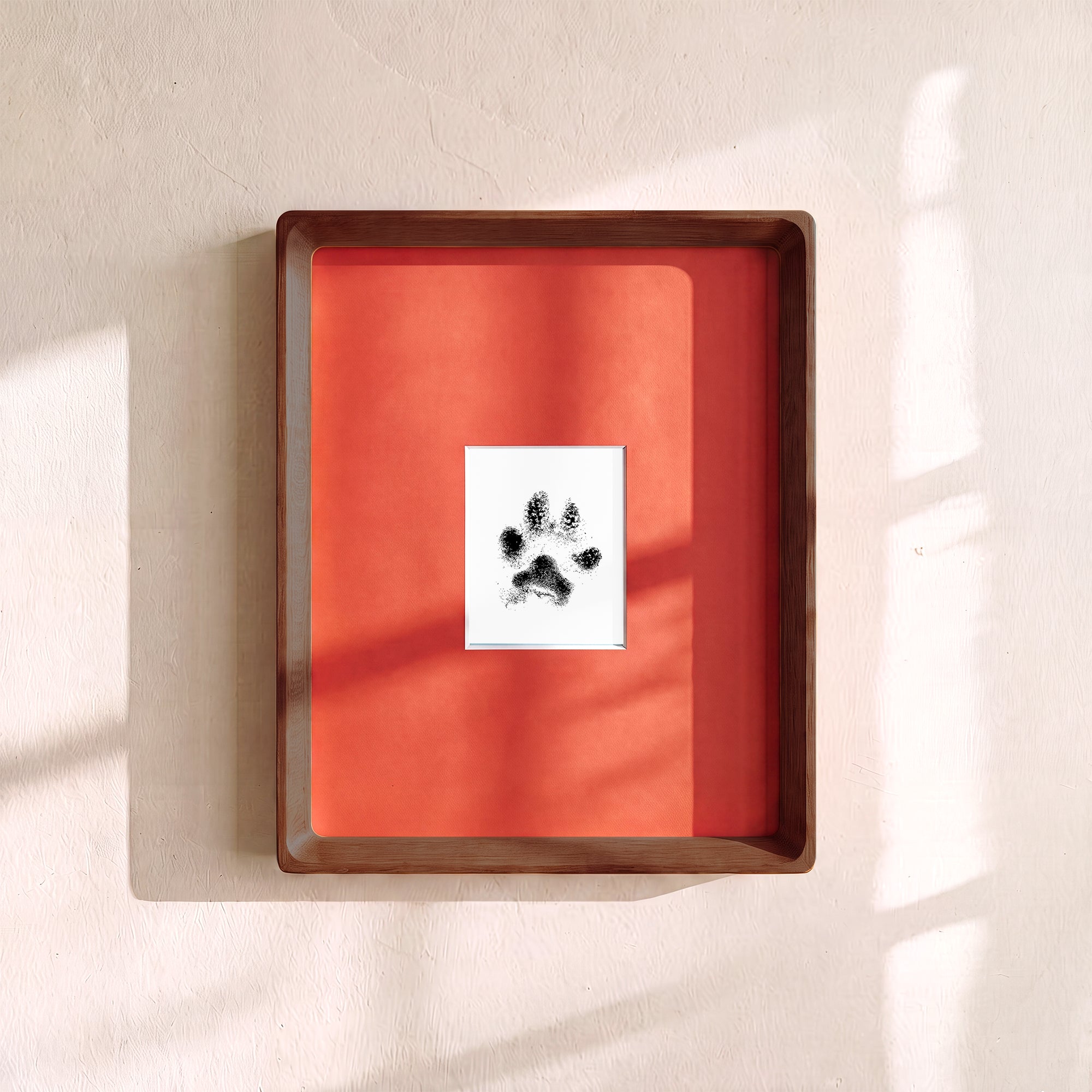 Paw Print Kit