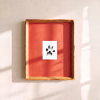 Lasting Paw™