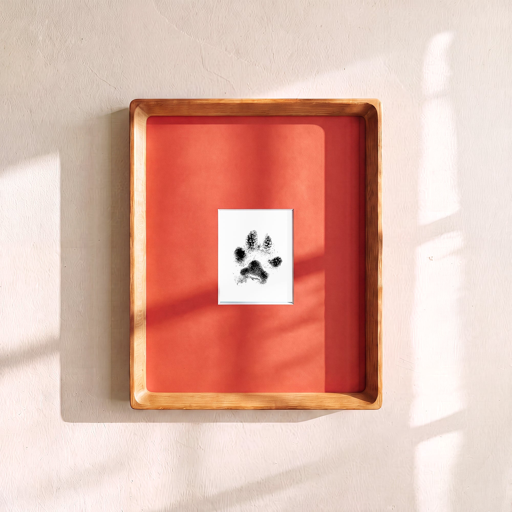 Paw Print Kit