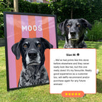 Stripy / Custom Pet Portrait