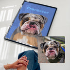 Wild | Custom Pet Portrait (NEW)