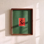 Paw Print Kit