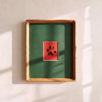 Paw Print Kit