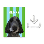 Stripy | Custom Pet Portrait