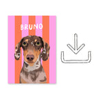 Stripy | Custom Pet Portrait