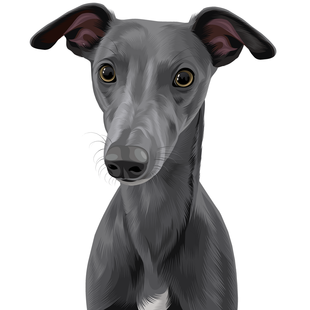 Additional Pet Illustration