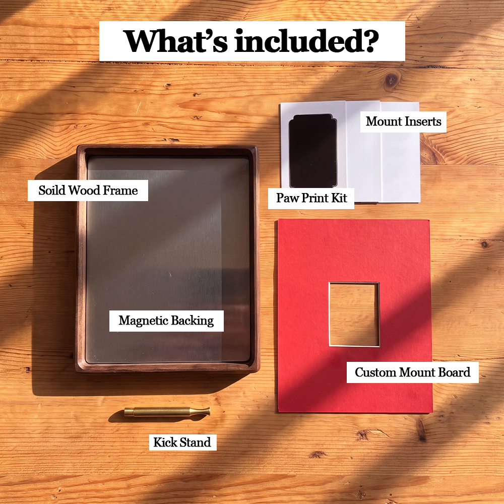 DIY Paw Print Kit