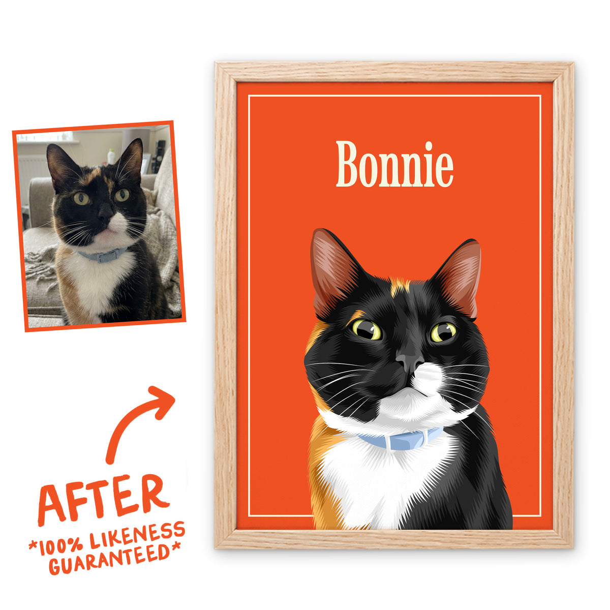 Mango Breakfast Club pet portrait of Bonnie the cat in a light birch frame, before and after, 100% likeness guaranteed