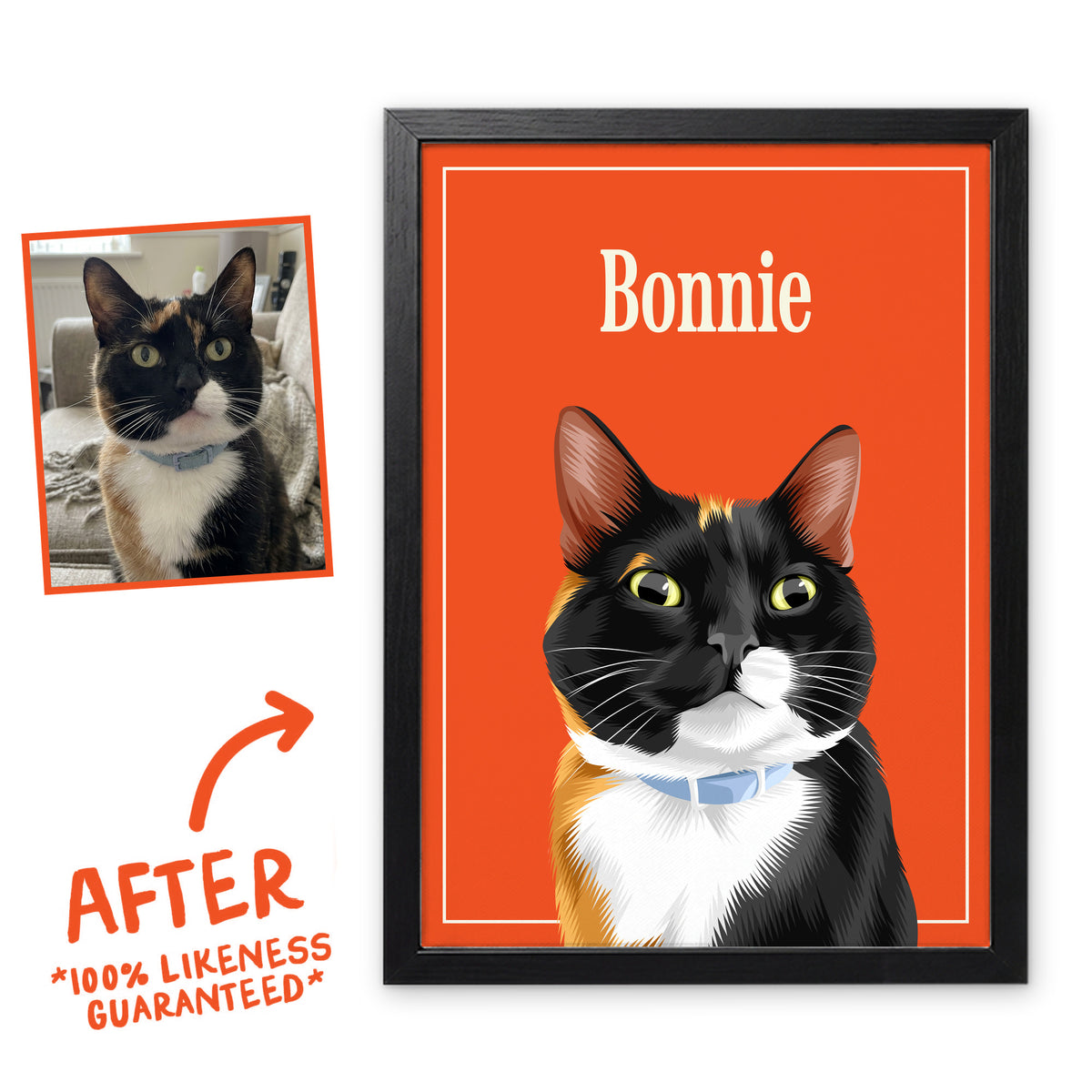 Mango Breakfast Club pet portrait of Bonnie the cat in a black frame, before and after, 100% likeness guaranteed
