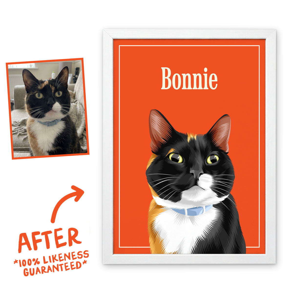Mango Breakfast Club pet portrait of Bonnie the cat in a white frame, before and after, 100% likeness guaranteed
