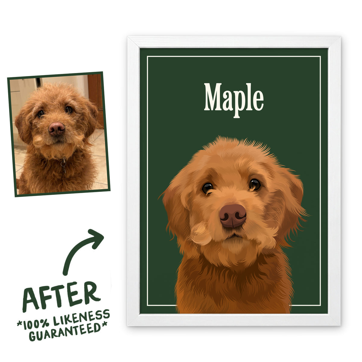 Spinach Green Breakfast Club pet portrait of Maple in a white frame, before and after, 100% likeness guaranteed