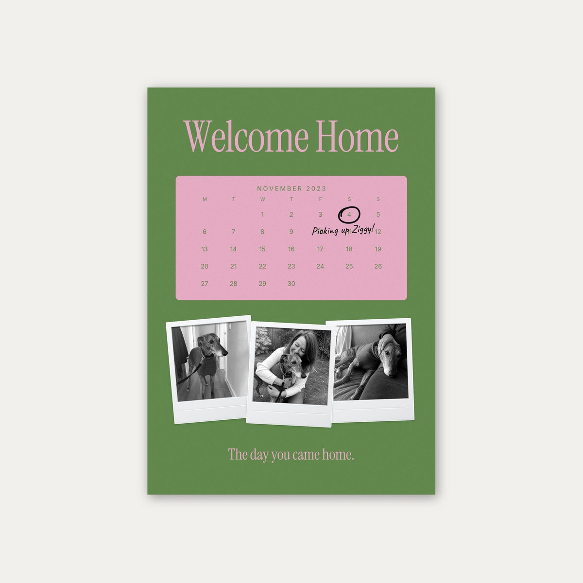 Anniversary calendar pet photo print, Lawn & Gum, unframed