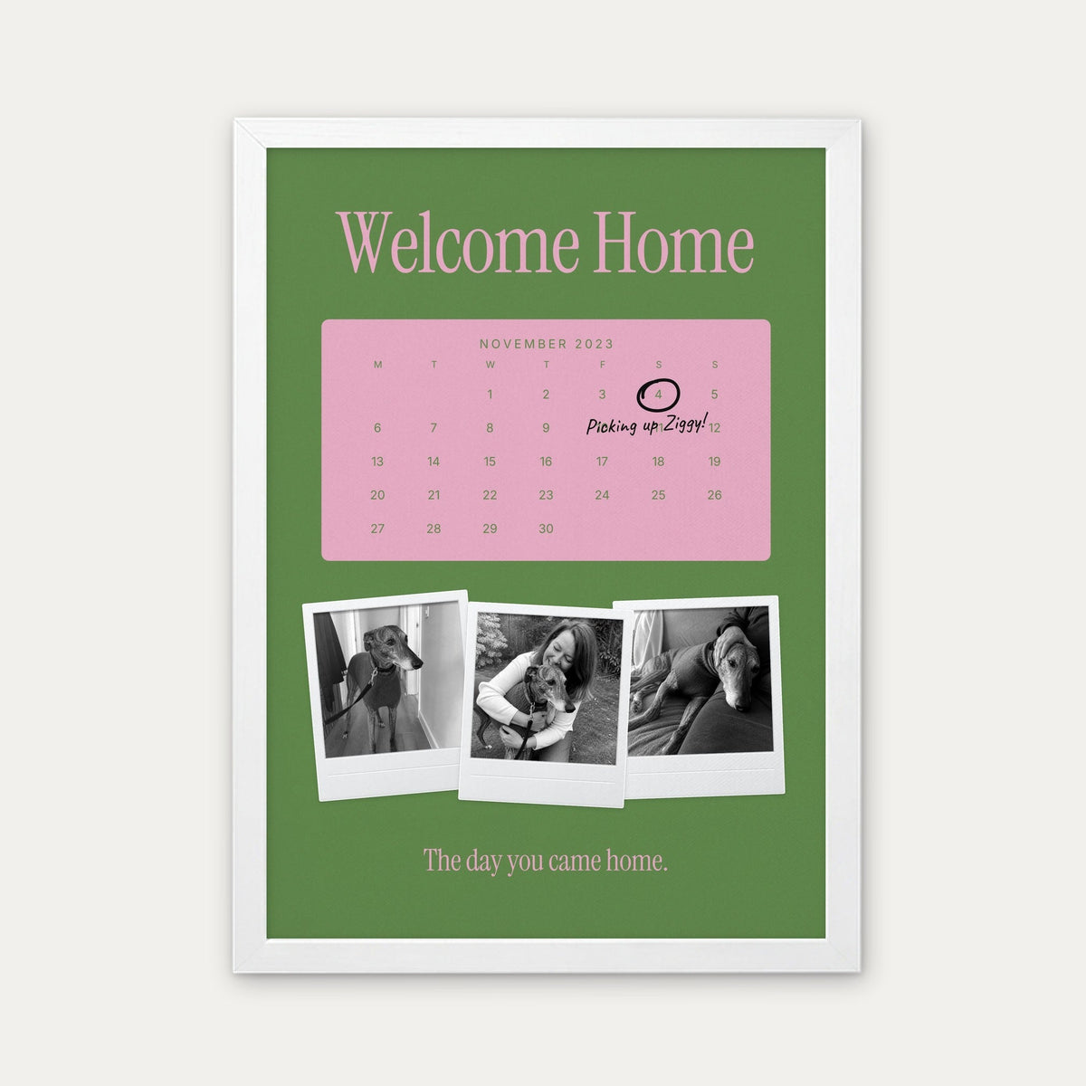 Anniversary calendar pet photo print, Lawn & Gum, white frame