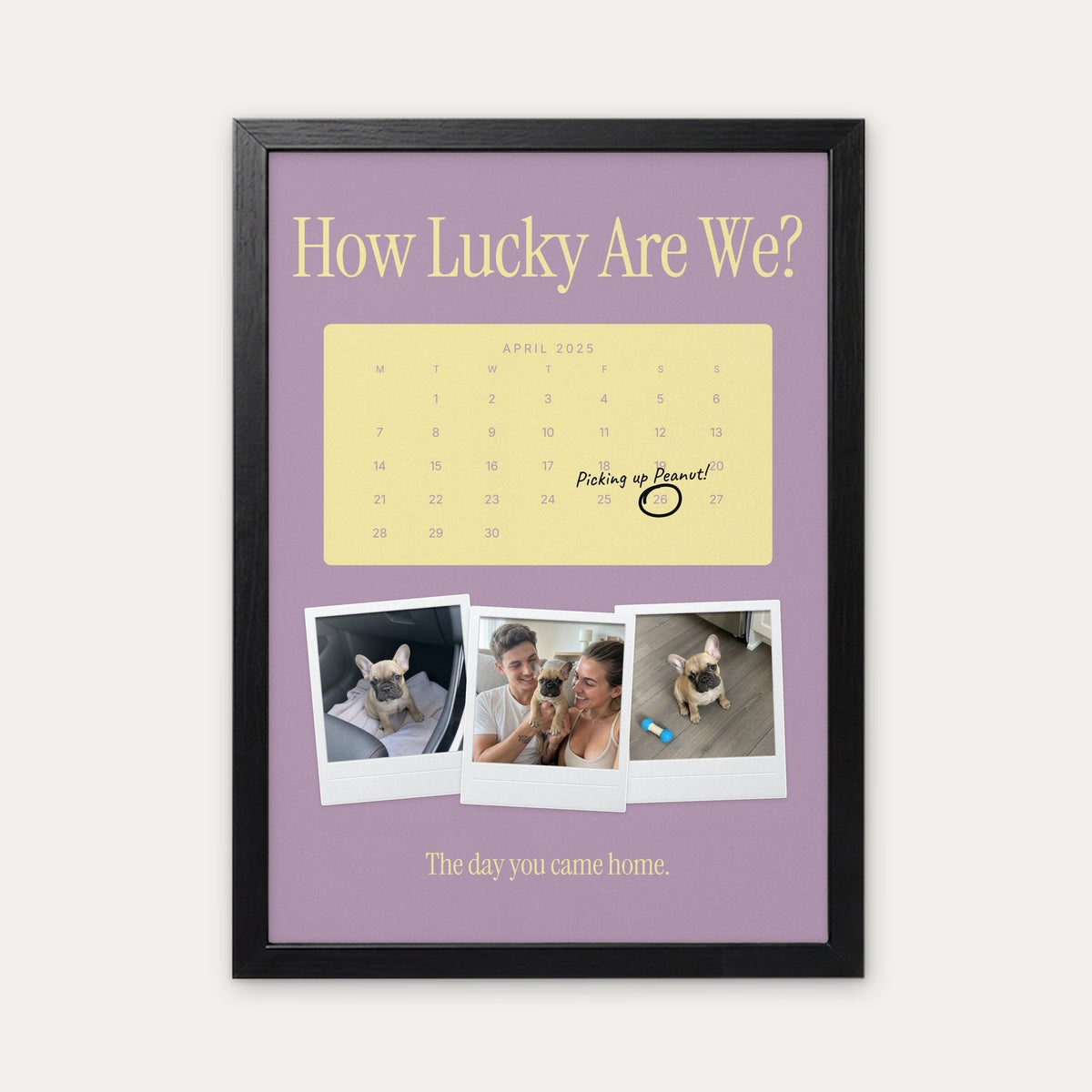Anniversary calendar pet photo print, Lilac & Butter, black frame