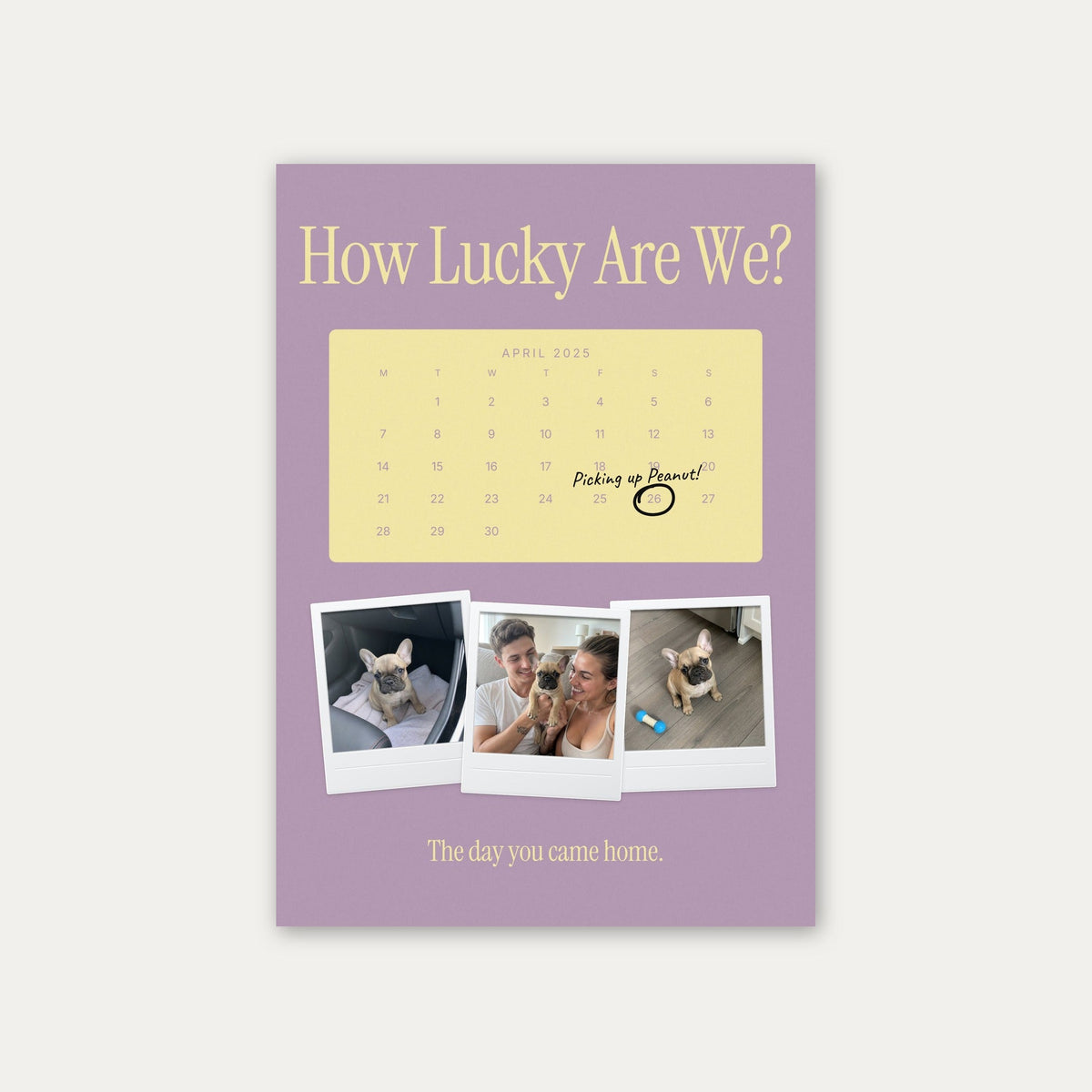Anniversary calendar pet photo print, Lilac & Butter, unframed