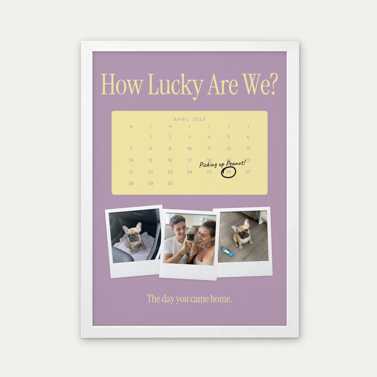 Anniversary calendar pet photo print, Lilac & Butter, white frame