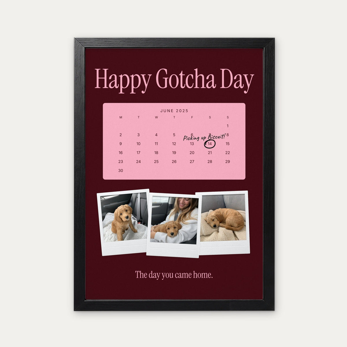 Anniversary calendar pet photo print, Maroon & Pink, black frame