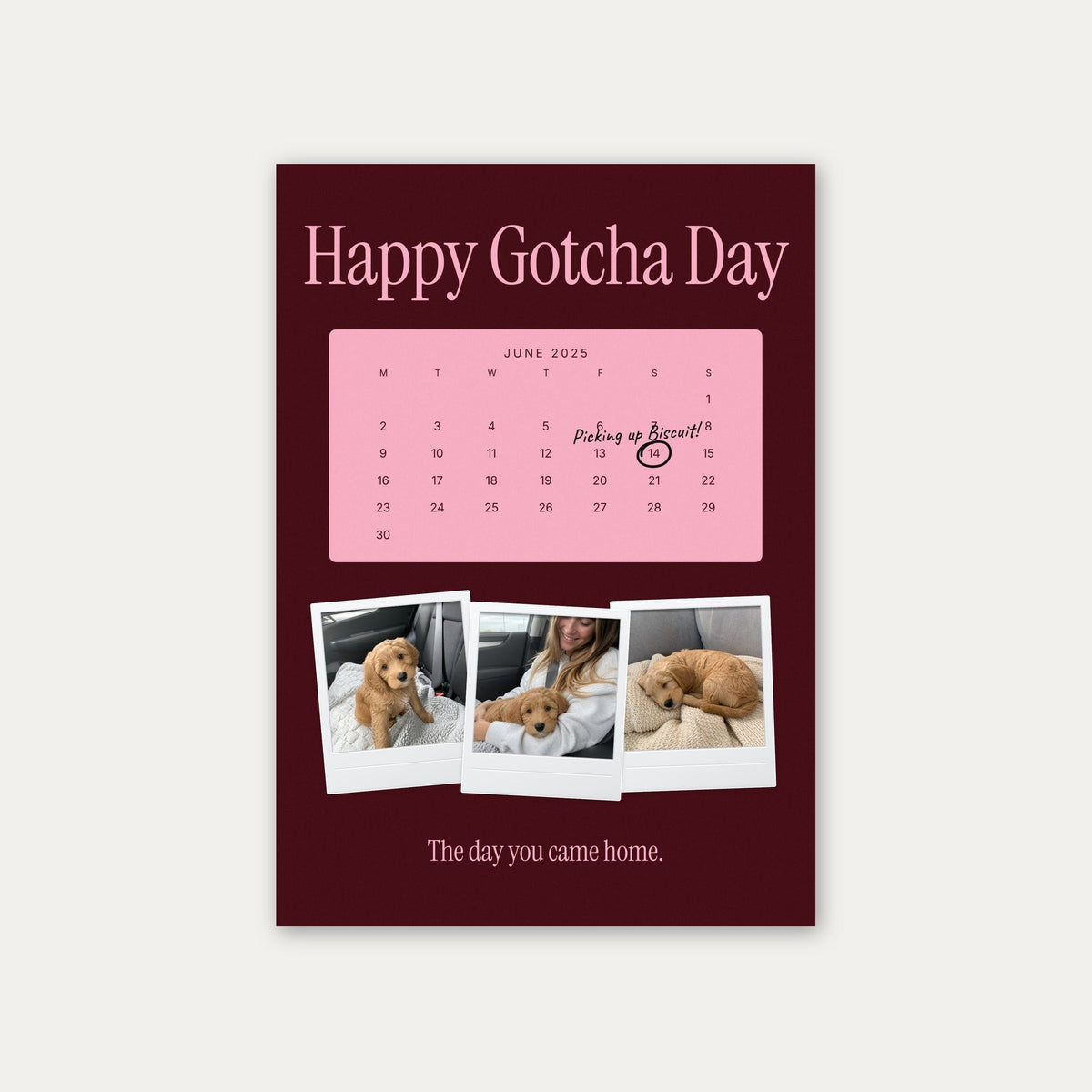 Anniversary calendar pet photo print, Maroon & Pink, unframed