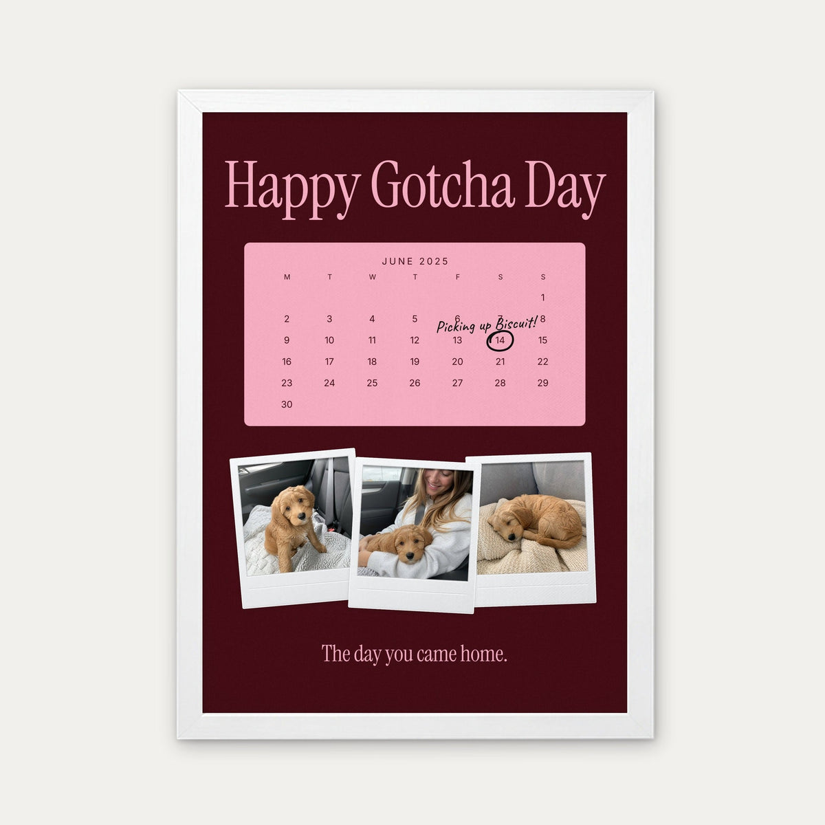 Anniversary calendar pet photo print, Maroon & Pink, white frame