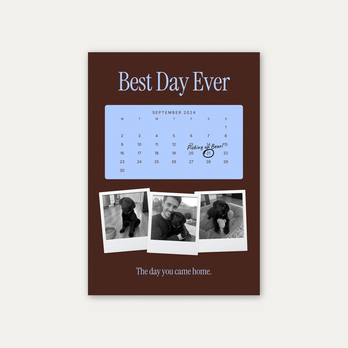 Anniversary calendar pet photo print, Milk Chocolate & Sky, unframed