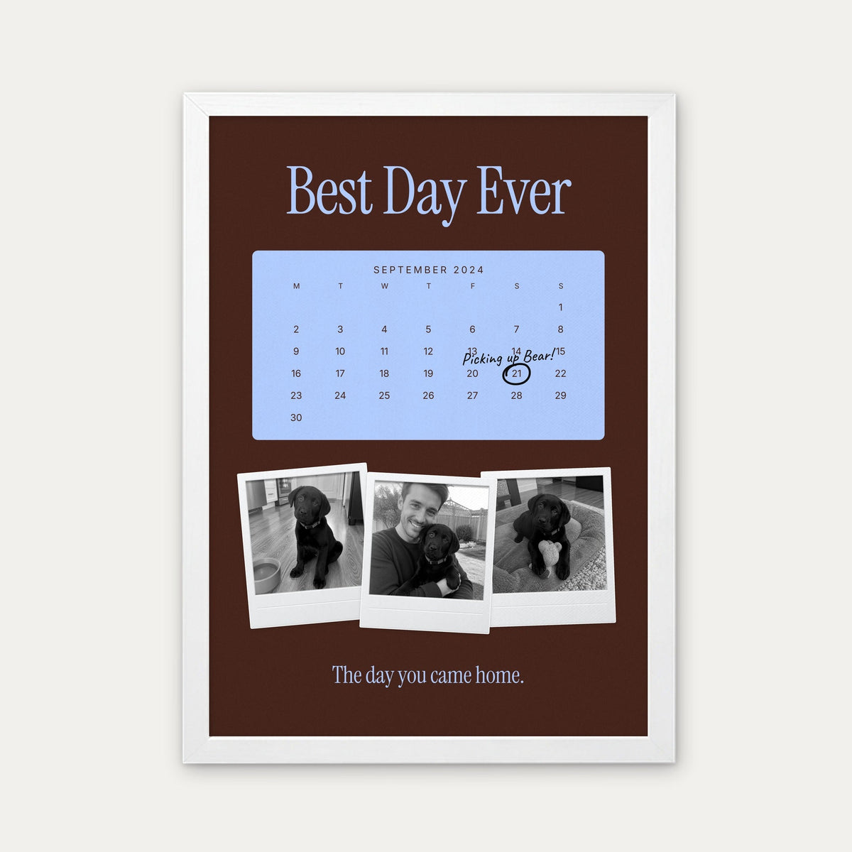 Anniversary calendar pet photo print, Milk Chocolate & Sky, white frame