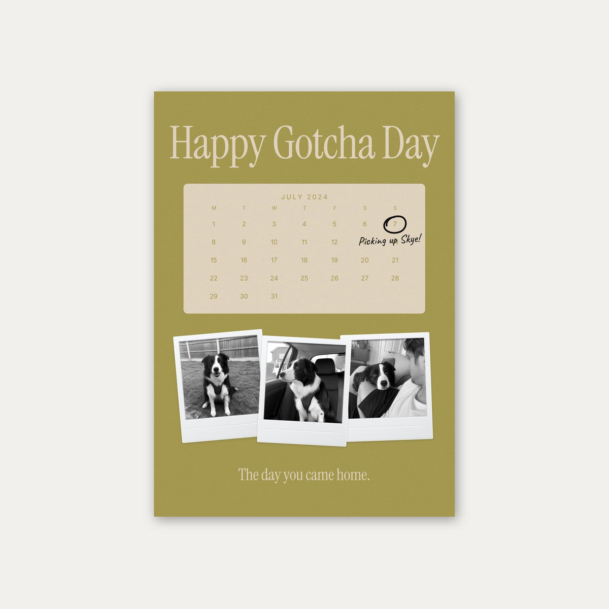Anniversary calendar pet photo print, Olives & Sand, unframed