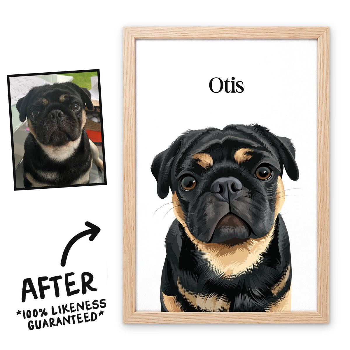 Bone White Classic pet portrait of Otis in a light birch frame, before and after, 100% likeness guaranteed