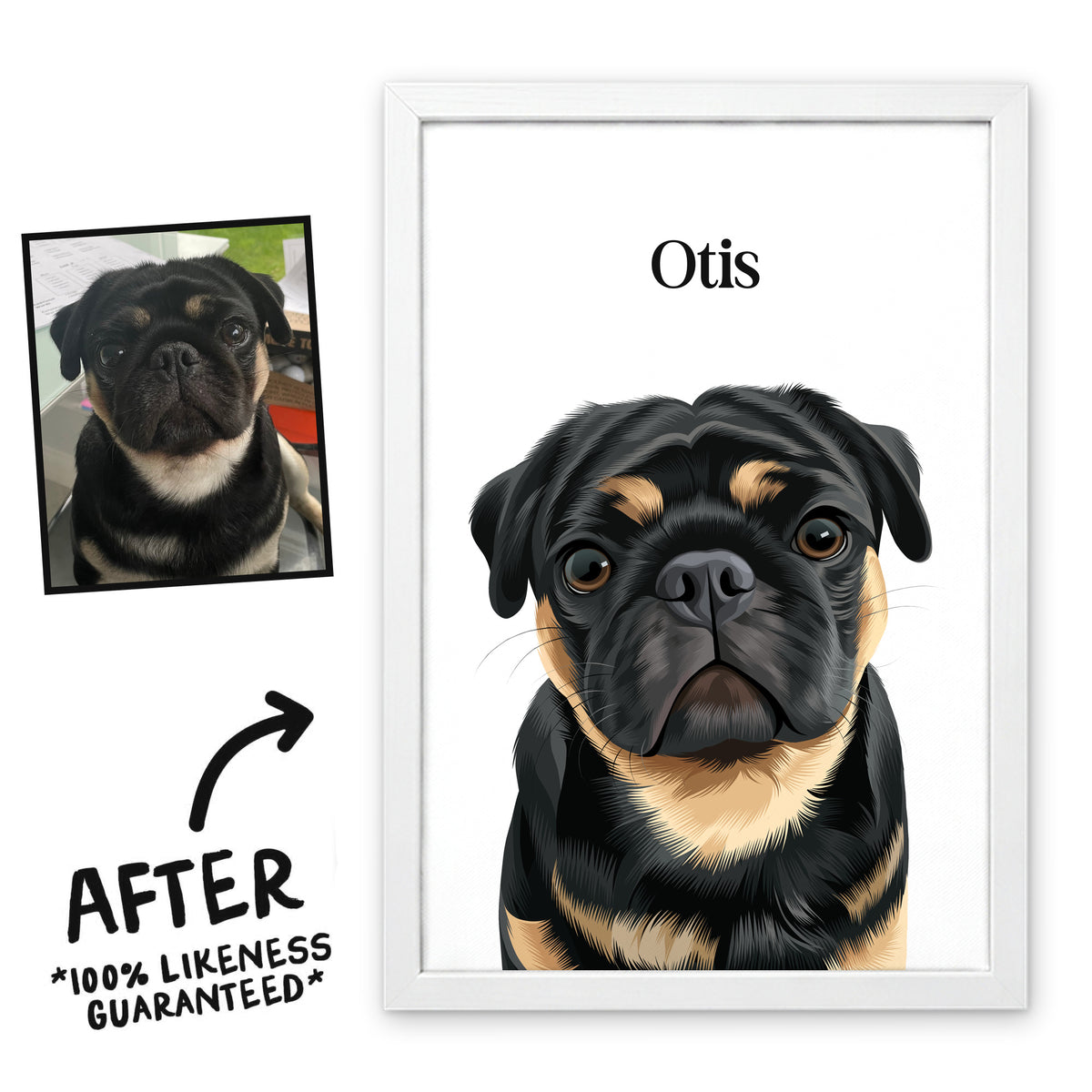 Bone White Classic pet portrait of Otis in a white frame, before and after, 100% likeness guaranteed