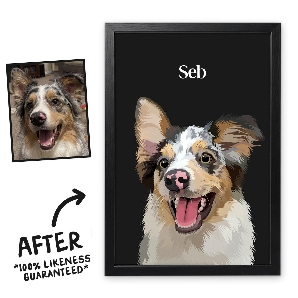 Charcoal Classic pet portrait of Seb in a black frame, before and after, 100% likeness guaranteed