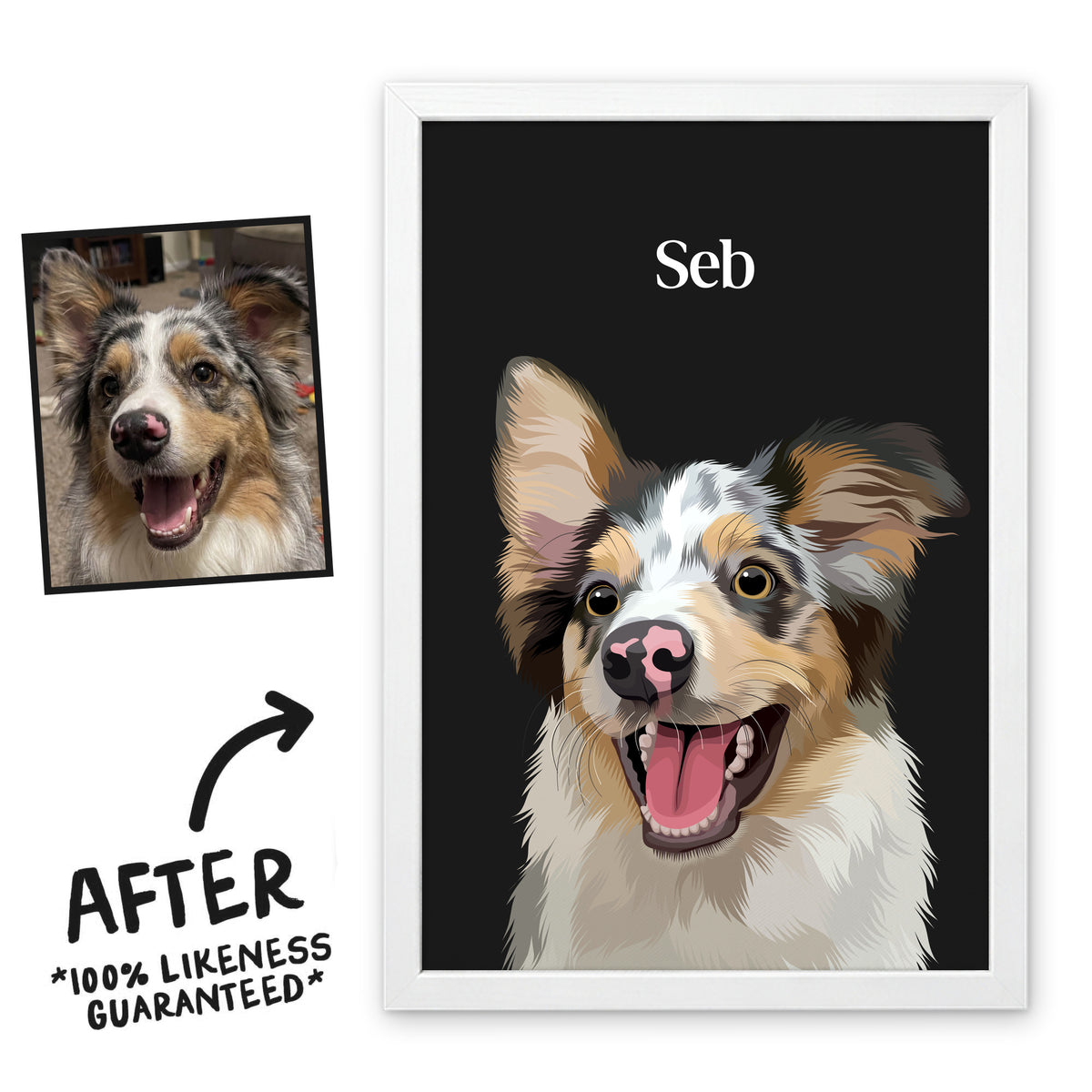 Charcoal Classic pet portrait of Seb in a white frame, before and after, 100% likeness guaranteed