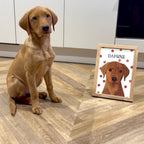 Polka Dots | Custom Pet Portrait