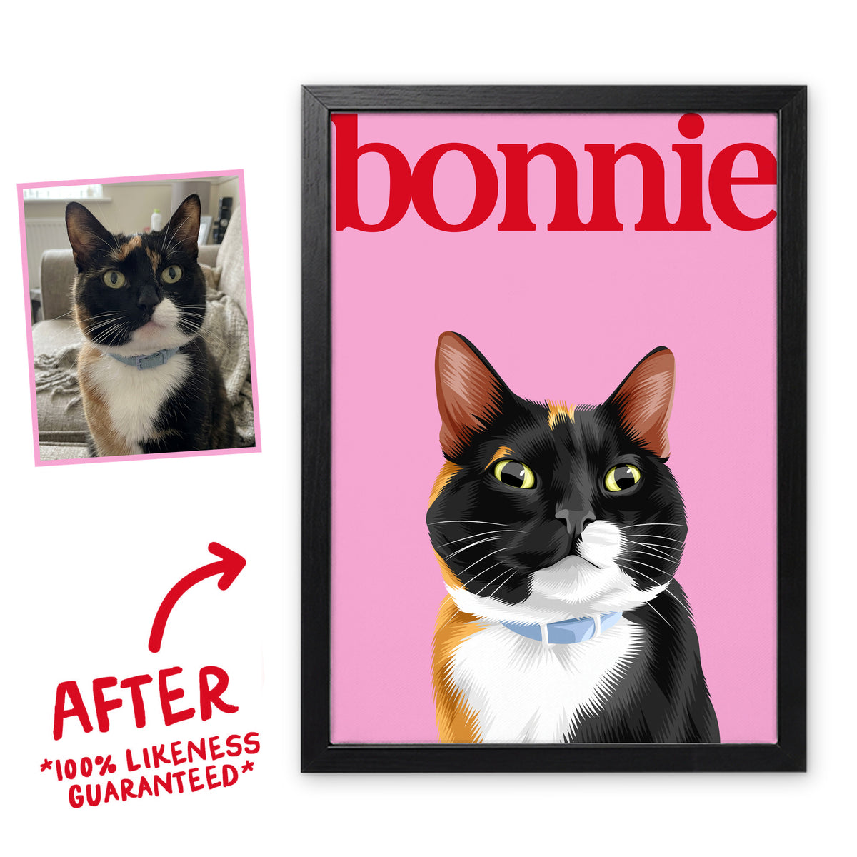Pink & Red Editorial pet portrait of Bonnie the cat in a black frame, before and after, 100% likeness guaranteed