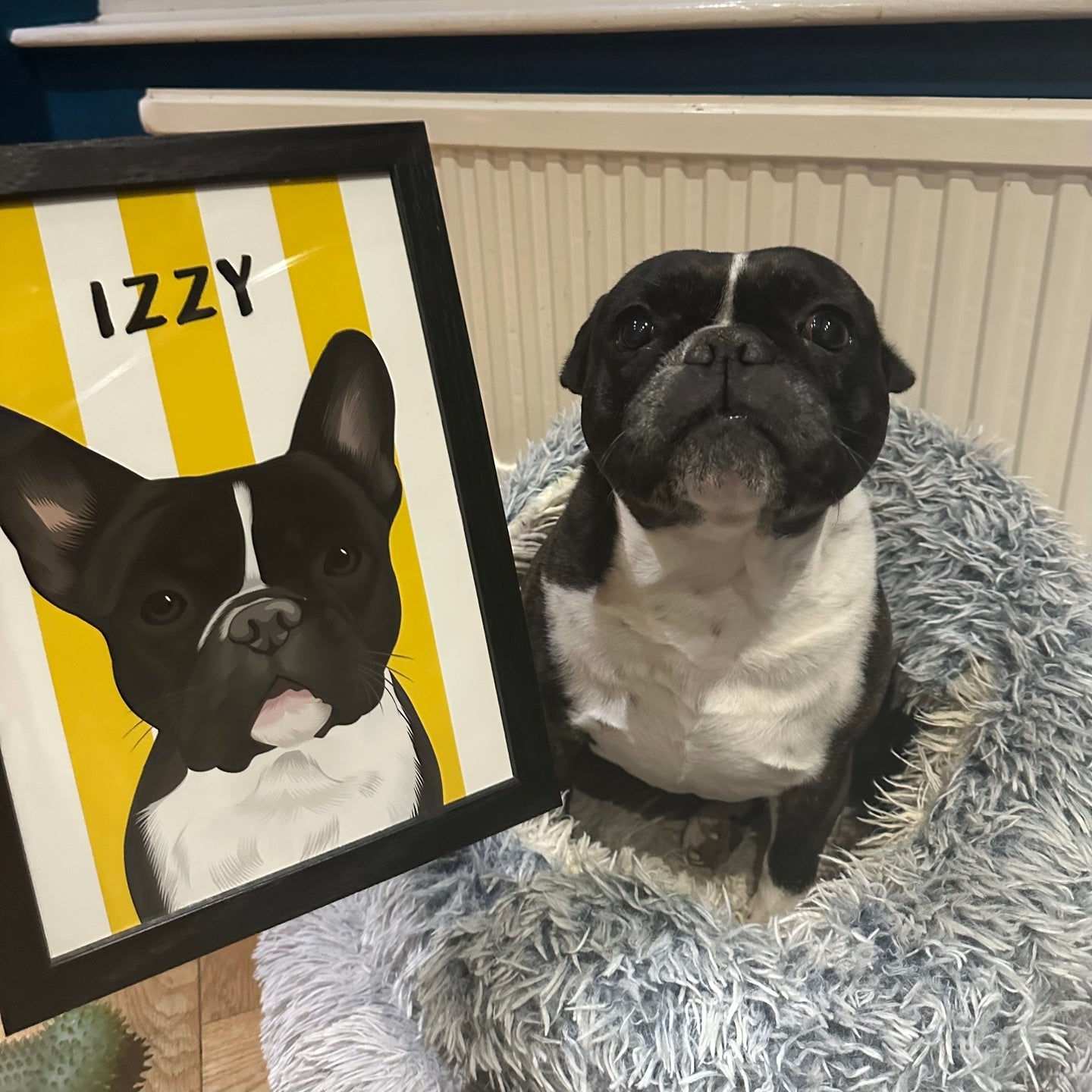 Stripes | Custom Pet Portrait