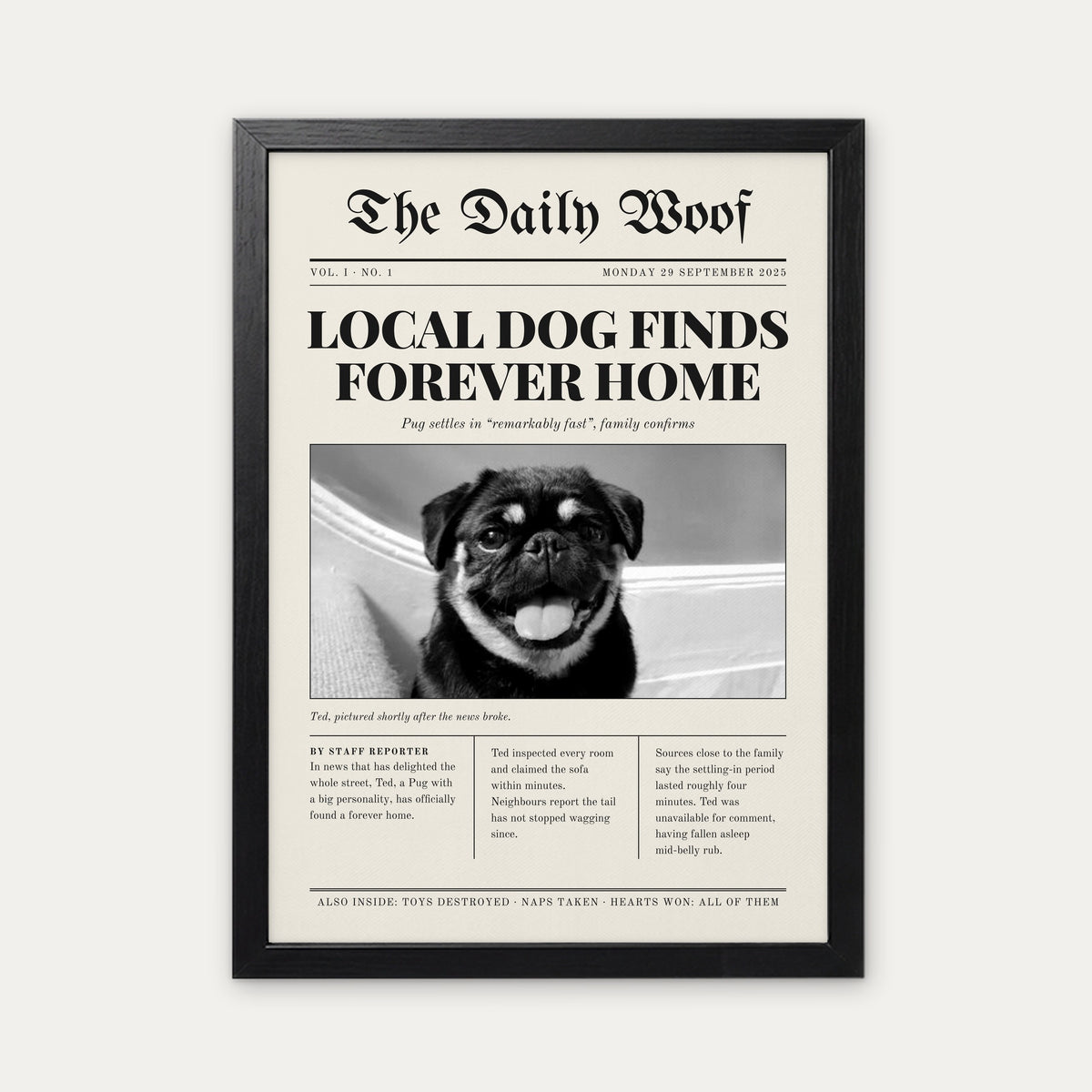 Gotcha Day custom pet newspaper print in a black frame, with an example photo