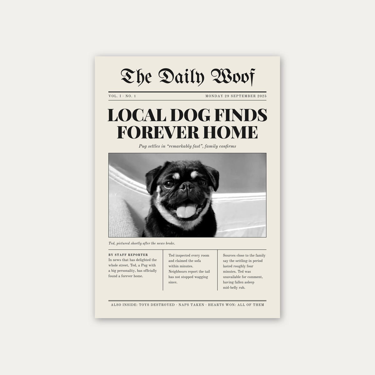 Gotcha Day custom pet newspaper print, unframed, with an example photo