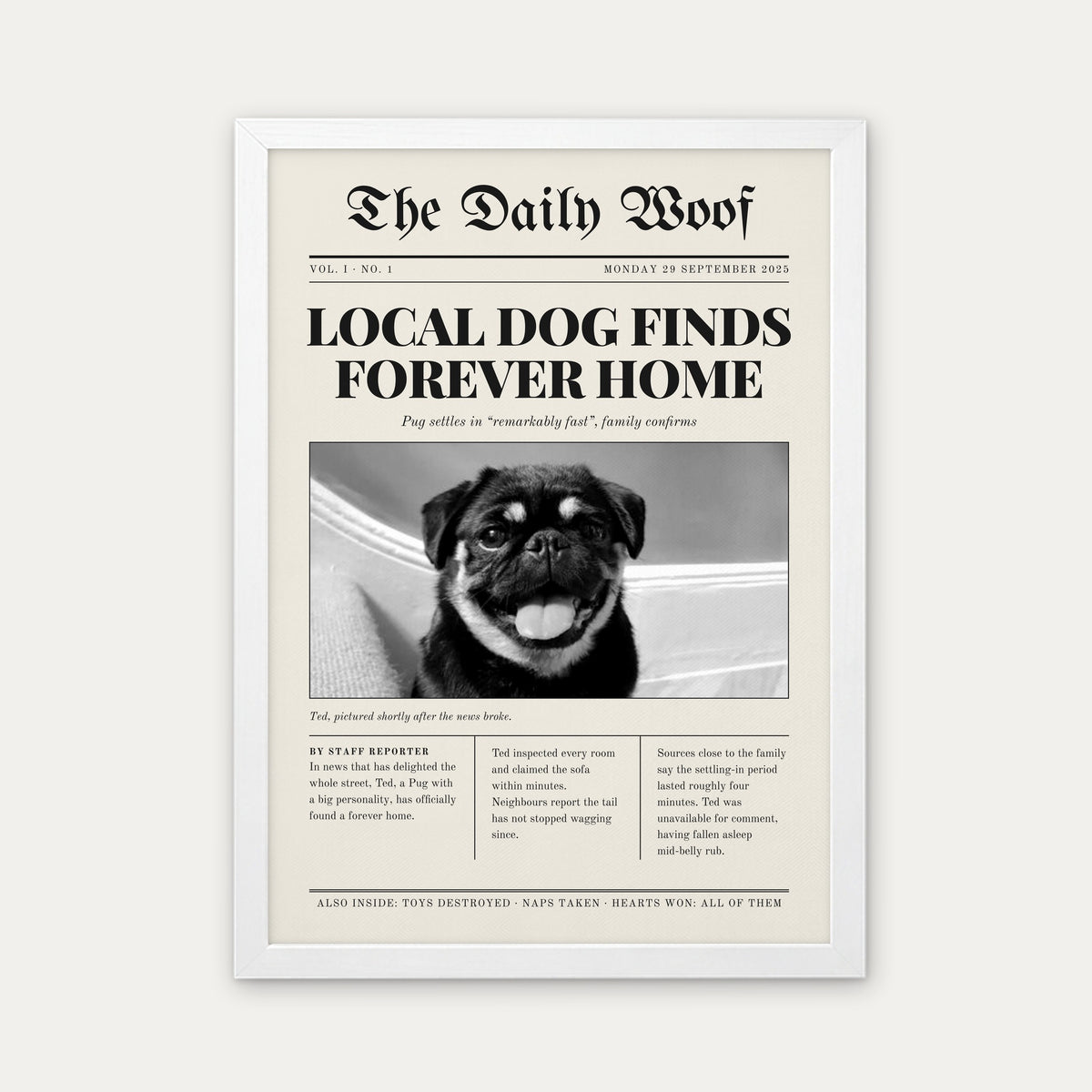 Gotcha Day custom pet newspaper print in a white frame, with an example photo