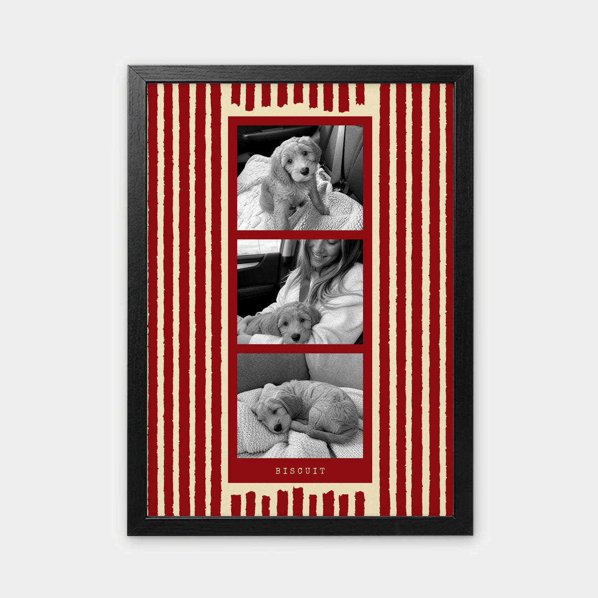 Photo strip custom pet photo print in Cherry Red, a black frame, with three black and white photos