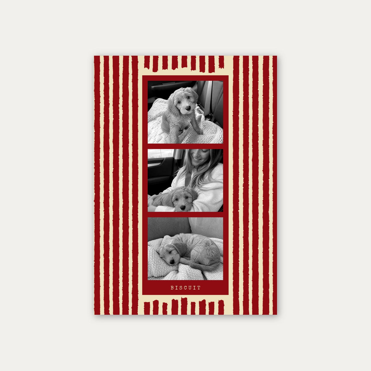 Photo strip custom pet photo print in Cherry Red, unframed, with three black and white photos