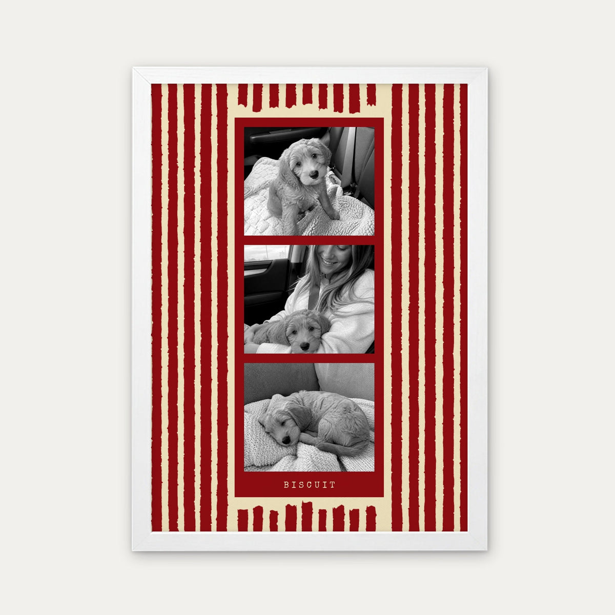 Photo strip custom pet photo print in Cherry Red, a white frame, with three black and white photos