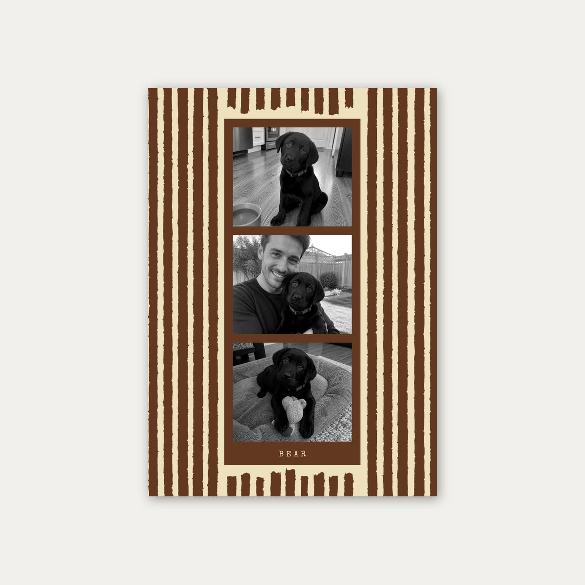 Photo strip custom pet photo print in Chocolate Brown, unframed, with three black and white photos