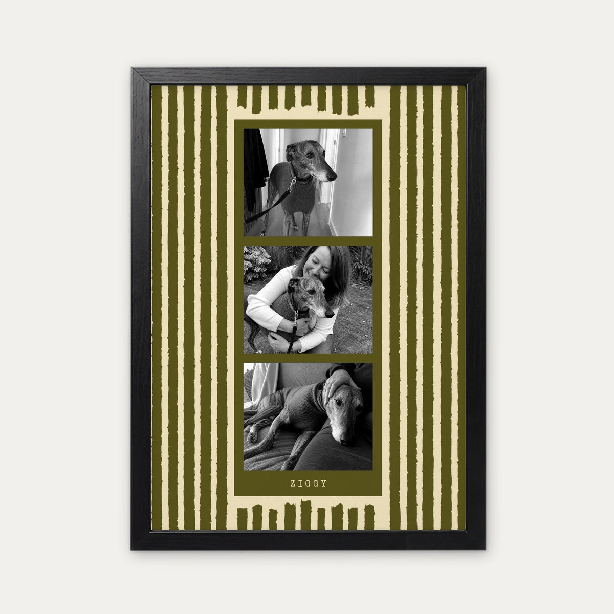 Photo strip custom pet photo print in Olive Green, a black frame, with three black and white photos