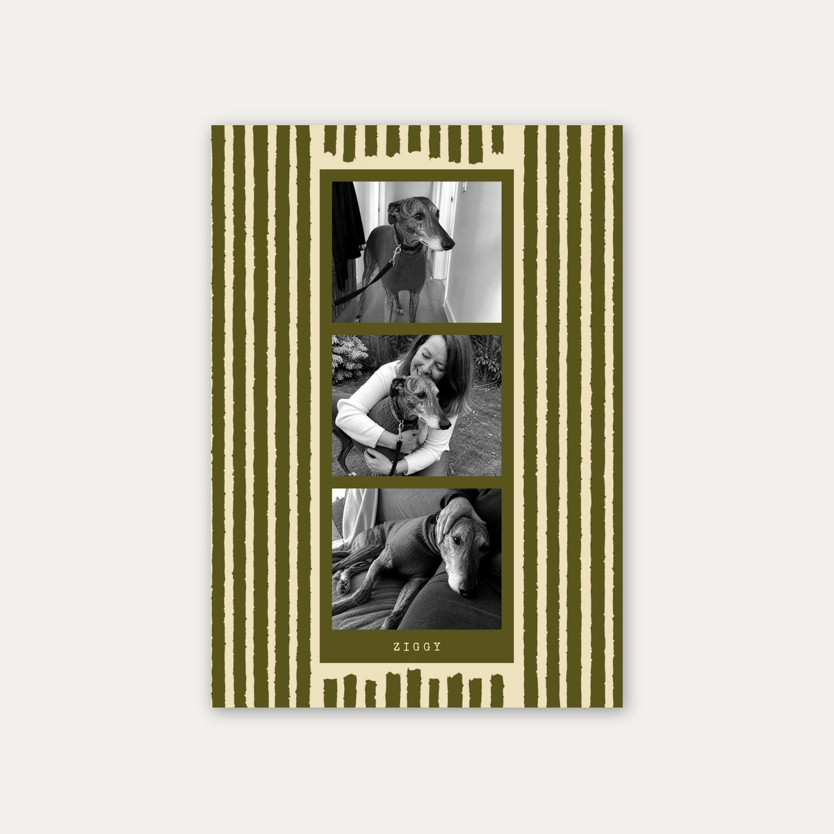 Photo strip custom pet photo print in Olive Green, unframed, with three black and white photos