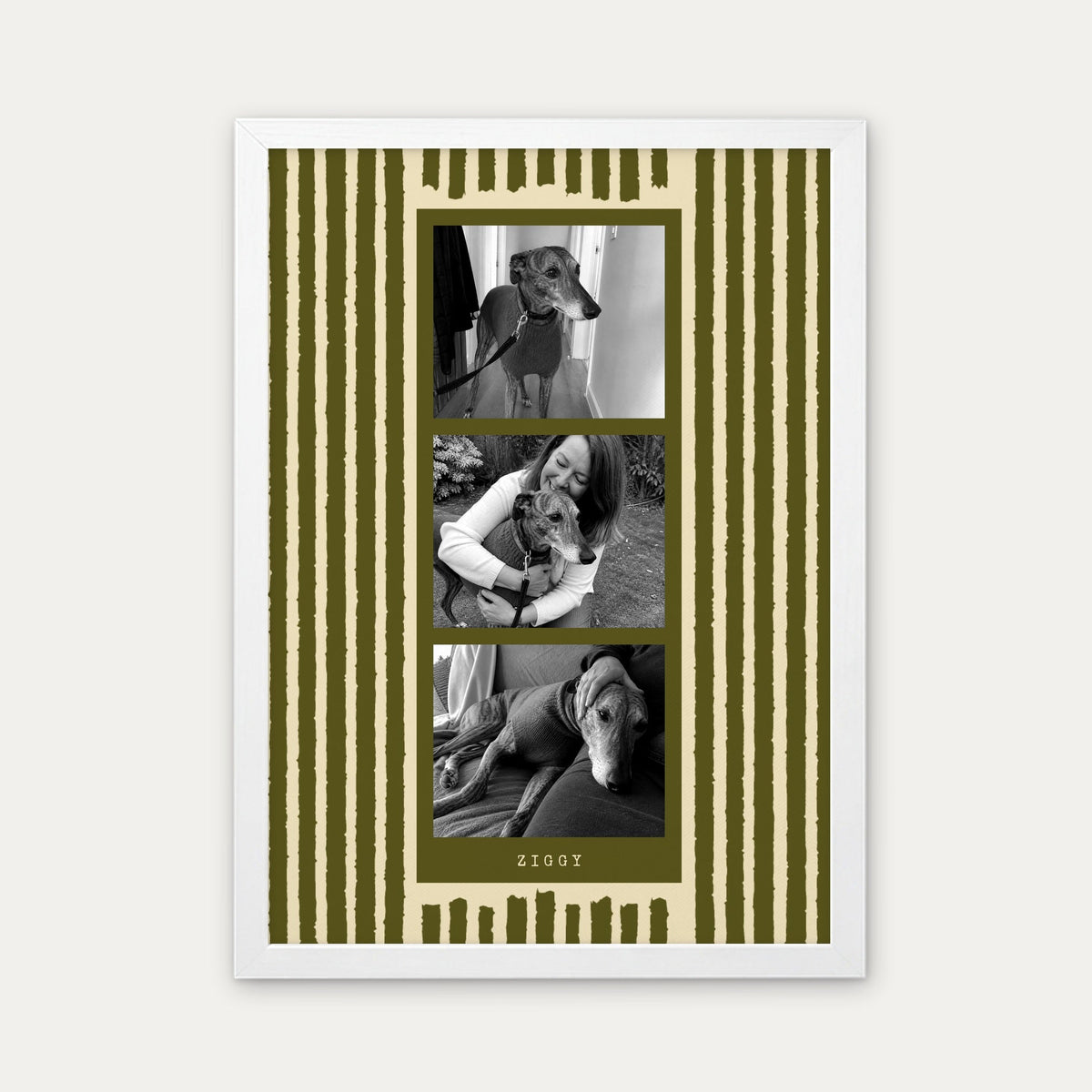 Photo strip custom pet photo print in Olive Green, a white frame, with three black and white photos