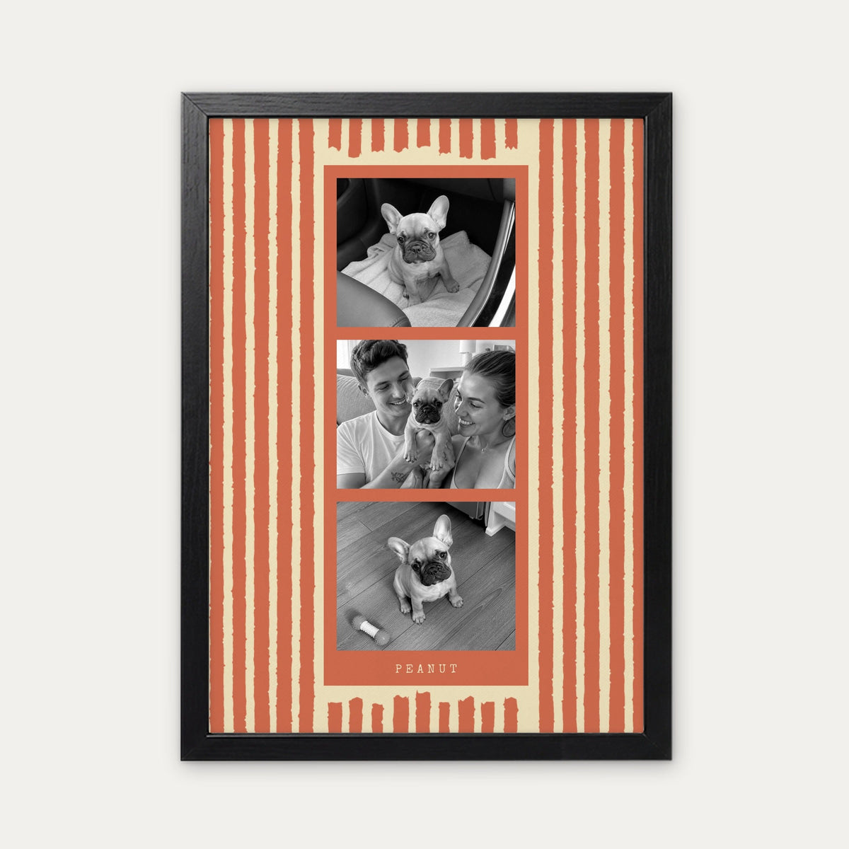 Photo strip custom pet photo print in Terracotta, a black frame, with three black and white photos