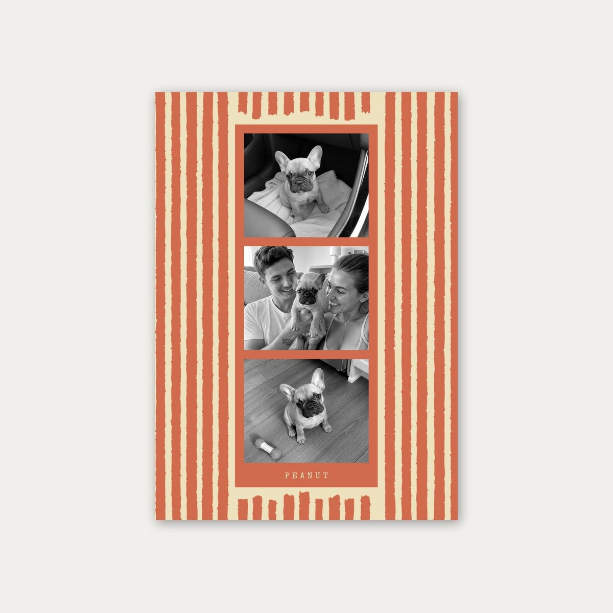 Photo strip custom pet photo print in Terracotta, unframed, with three black and white photos