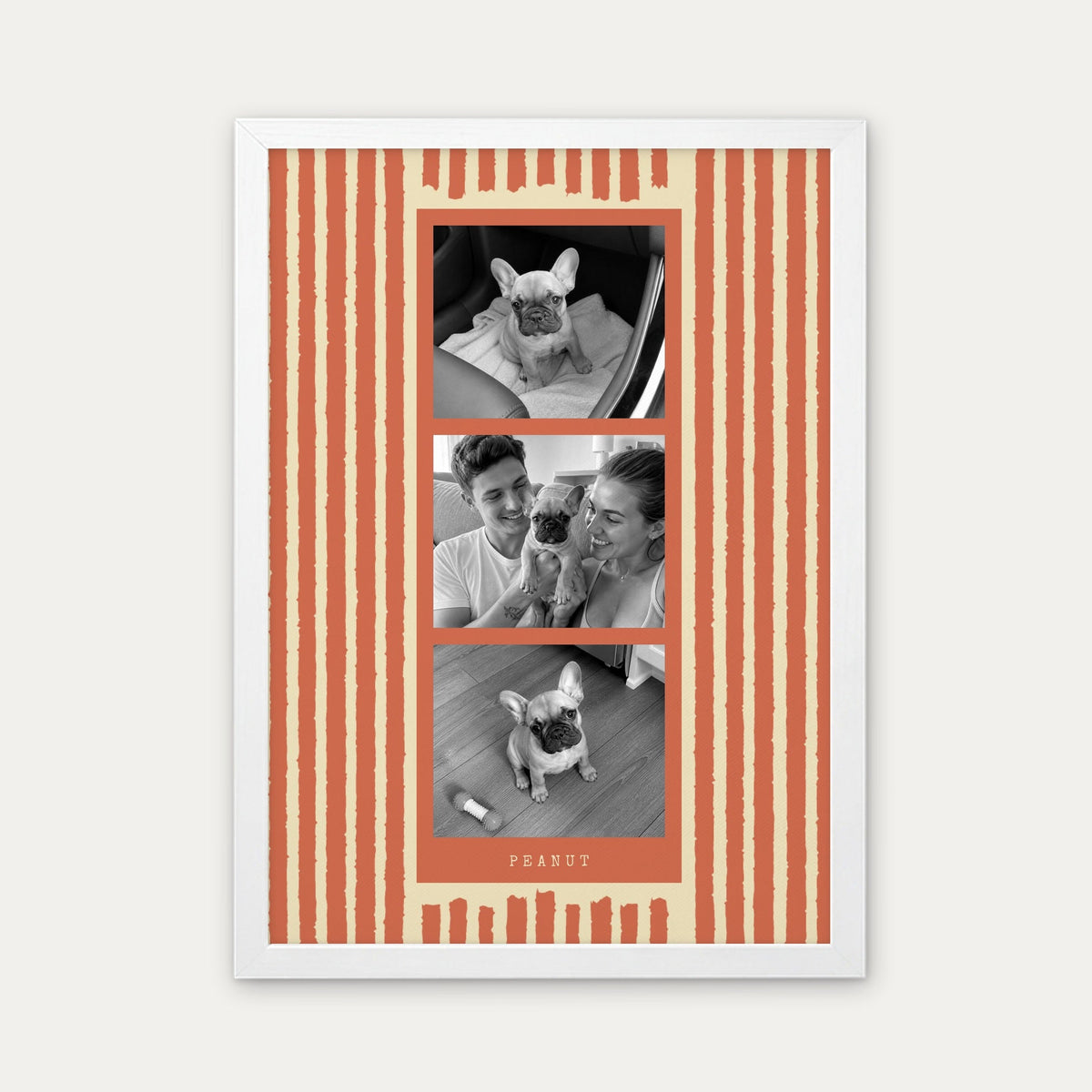 Photo strip custom pet photo print in Terracotta, a white frame, with three black and white photos